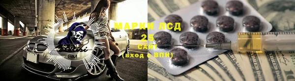 индика Алзамай