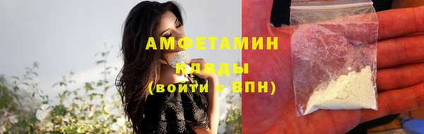 индика Алзамай