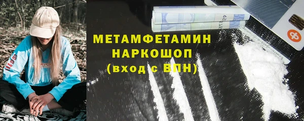 прущие грибы Абаза