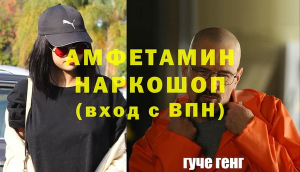 индика Алзамай
